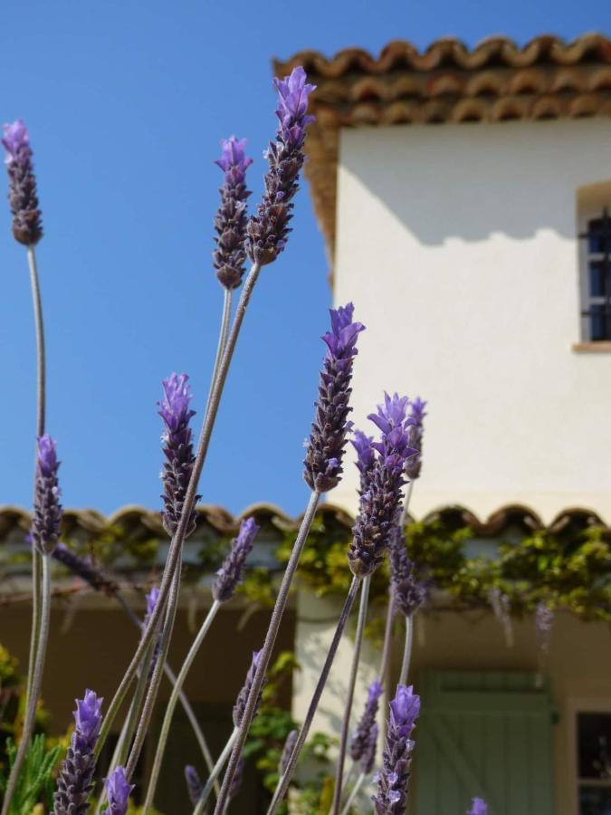 Azurea Bed & Breakfast Valbonne Luaran gambar
